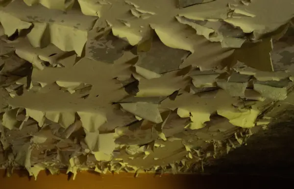 Riga, September 2023. Photo: Benjamin Hesselholdt